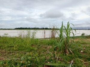 Bayelsa Journalist Raises Alarm as Illegal Dredging Threatens Home, Seeks Urgent Federal Government Intervention
