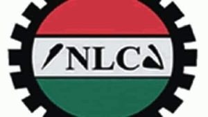 NLC Sets December Protest Over Insecurity,