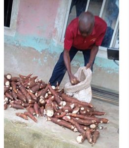 How flooding in Orashi communities of Rivers State affects the vulnerables