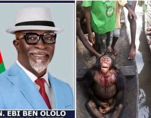 Bayelsa Commissioner Condemns Killing of Chimpanzee, Orders Investigation