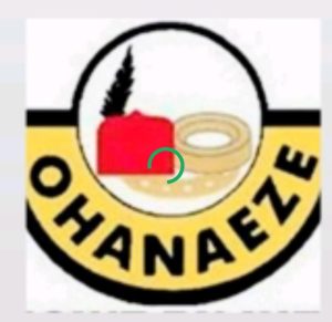 Ohanaeze Faults NYT Report, Denies Igbo Role in US Airstrikes